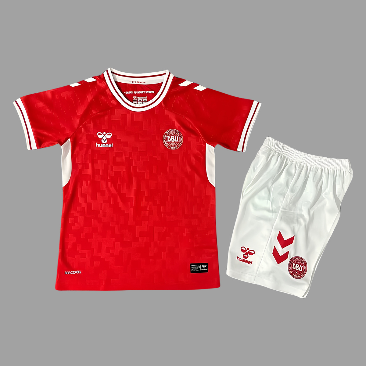 Barn Euro 2024 Denmark Hemmatröja Kit